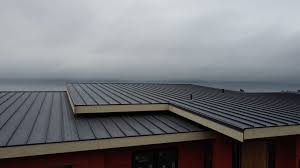 Roof Coating Services in Camden, TN